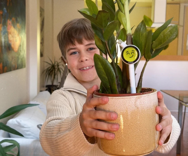 Розумний датчик для кімнатних рослин Plantiemoji Plant Magic Wand